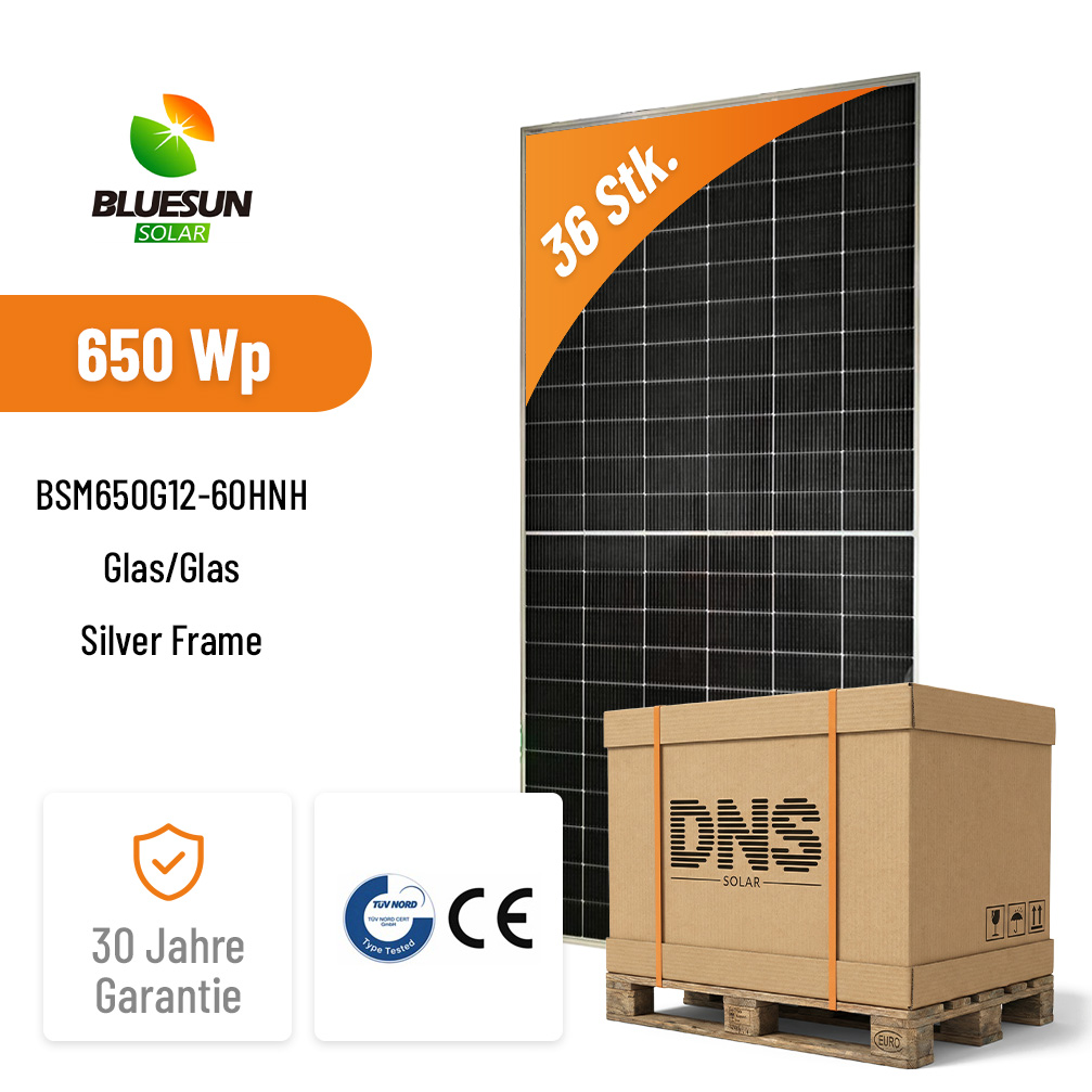 36x BLUESUN 650W BSM650G12-60HNH Bifacial Solarmodul – Hochleistung für professionelle Anwendungen Glas/Glas Silver Frame