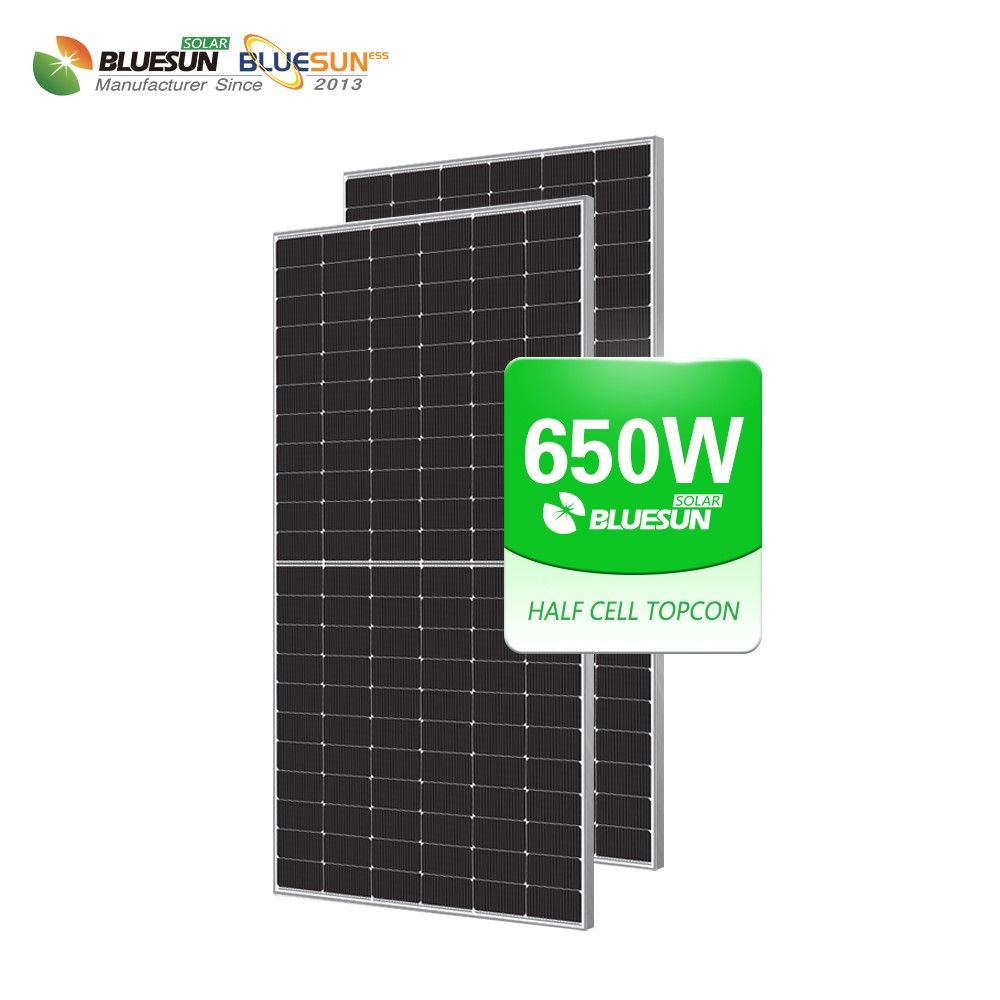 BLUESUN 650W BSM650G12-60HNH Bifacial Solarmodul – Hochleistung für professionelle Anwendungen Glas/Glas Silver Frame
