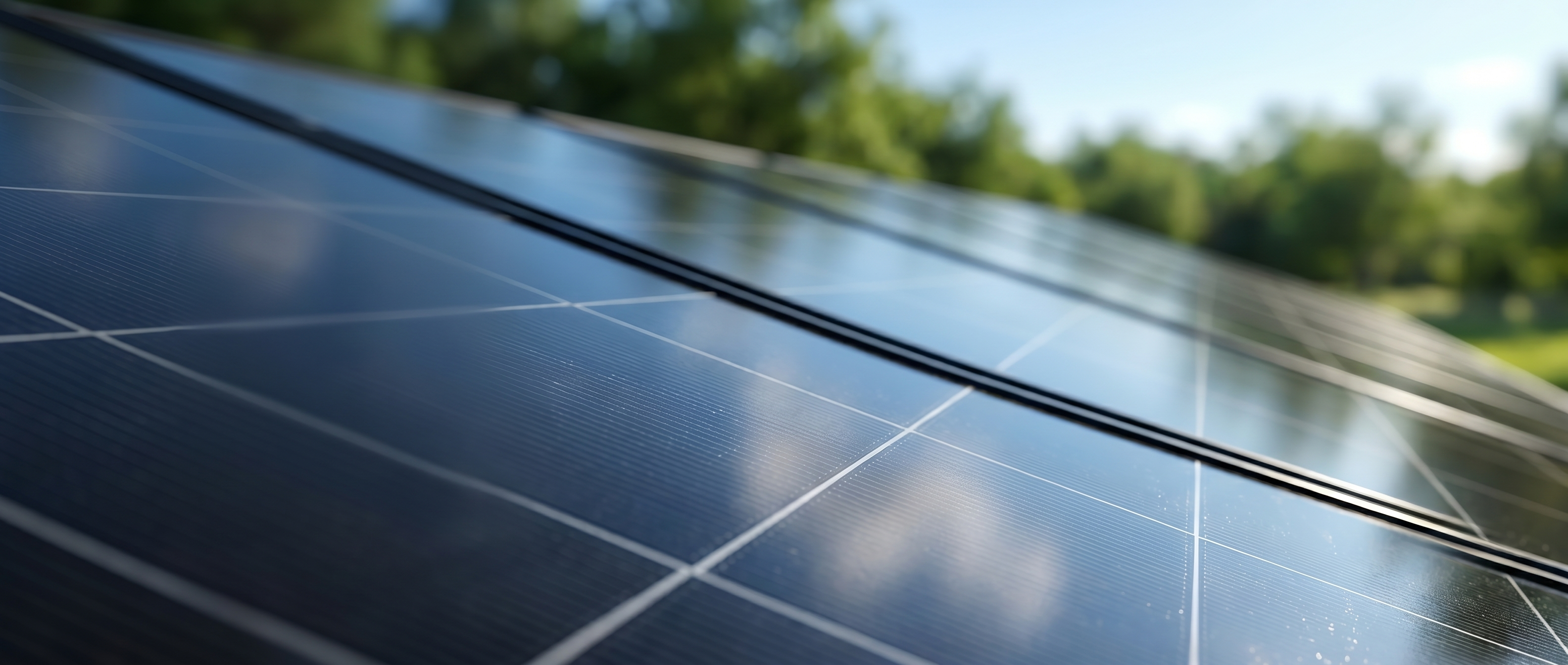 Solarmodule kaufen
