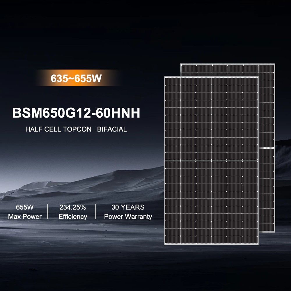 BLUESUN 650W BSM650G12-60HNH Bifacial Solarmodul – Hochleistung für professionelle Anwendungen Glas/Glas Silver Frame