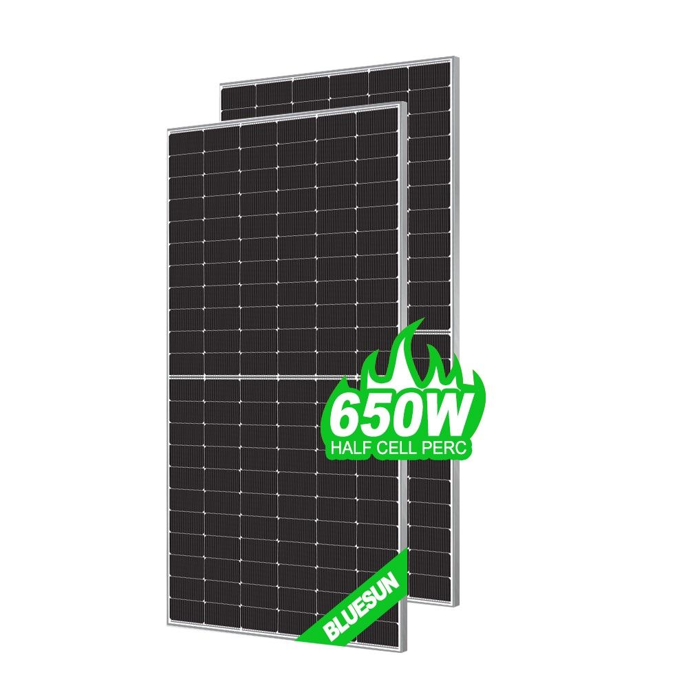 BLUESUN 650W BSM650G12-60HNH Bifacial Solarmodul – Hochleistung für professionelle Anwendungen Glas/Glas Silver Frame