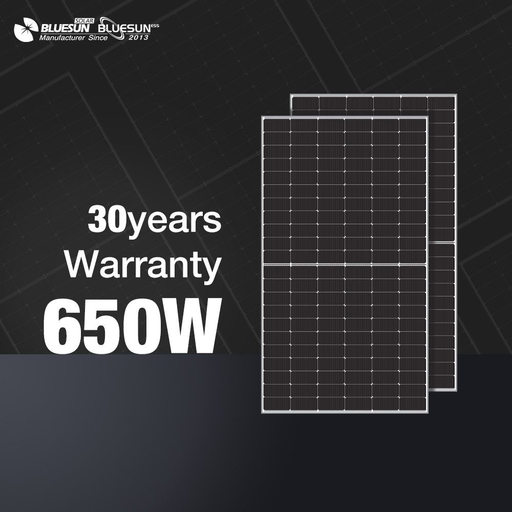 BLUESUN 650W BSM650G12-60HNH Bifacial Solarmodul – Hochleistung für professionelle Anwendungen Glas/Glas Silver Frame
