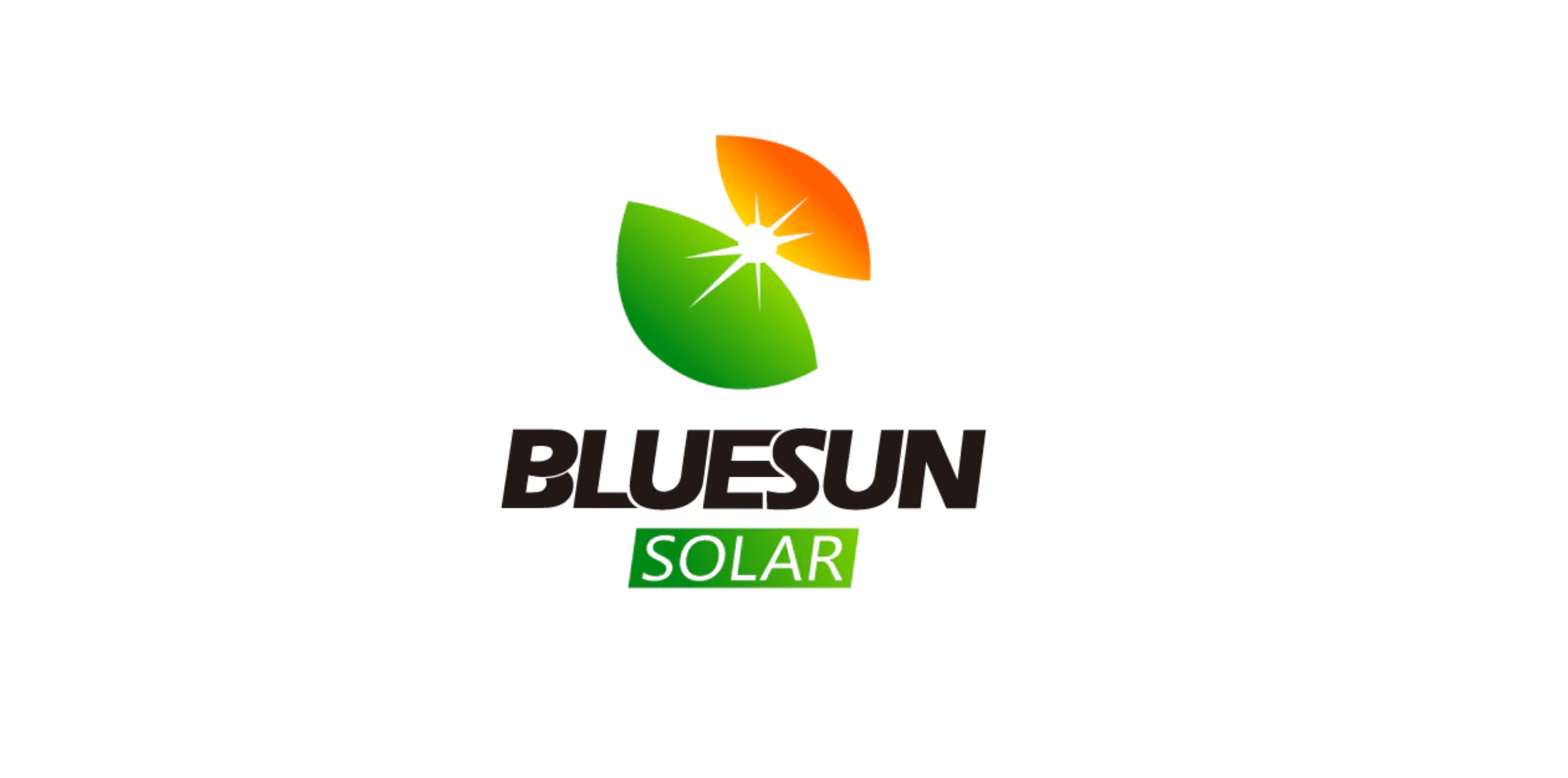 Firma BLUESUN