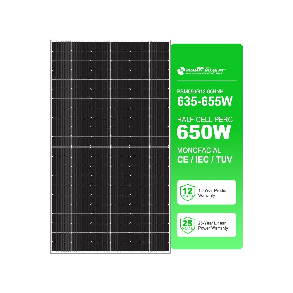 BLUESUN 650W BSM650G12-60HNH Bifacial Solarmodul – Hochleistung für professionelle Anwendungen Glas/Glas Silver Frame