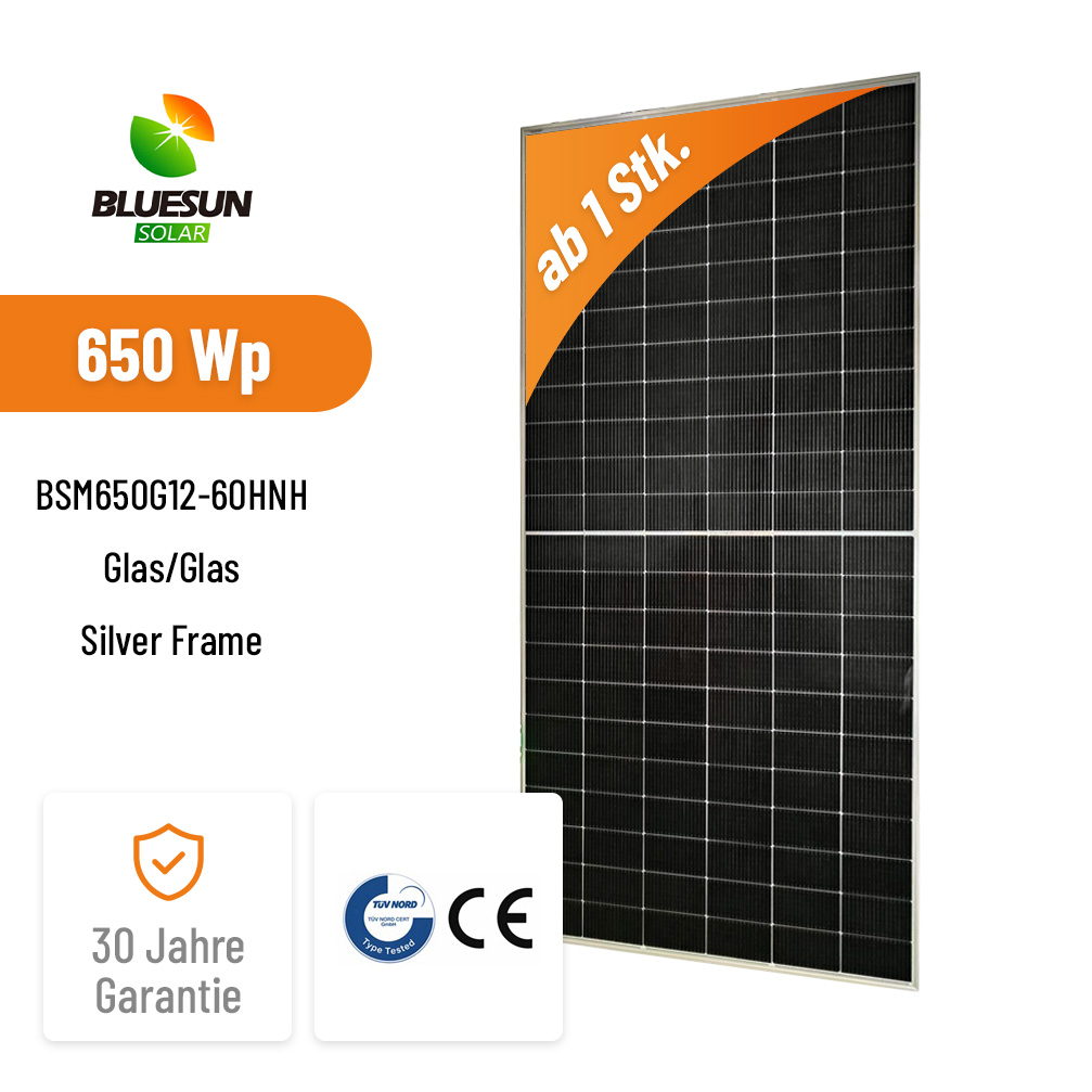BLUESUN 650W BSM650G12-60HNH Bifacial Solarmodul – Hochleistung für professionelle Anwendungen Glas/Glas Silver Frame