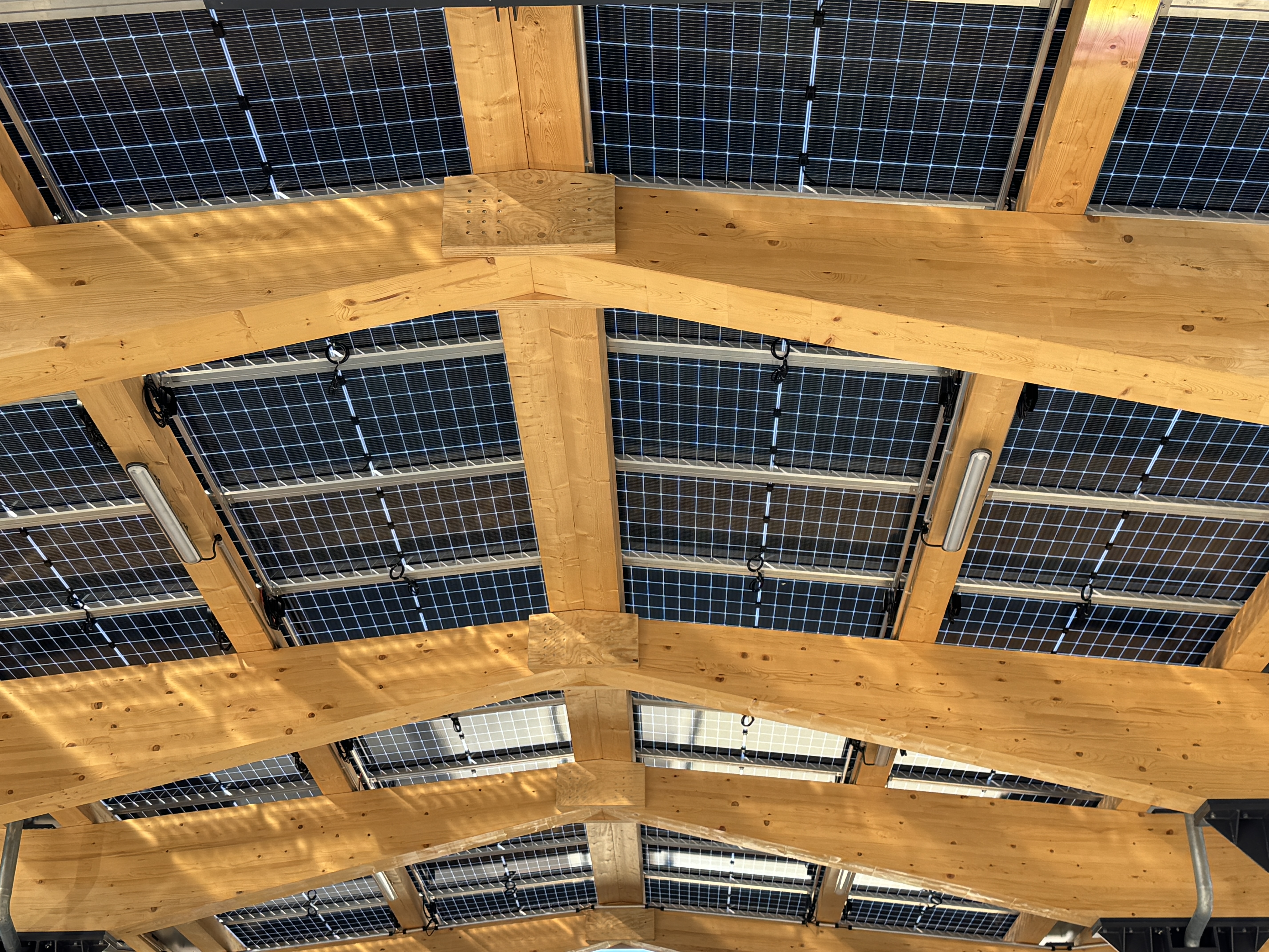 BLUESUN 317W SFG-44-M6-317W BIPV transparentes Solarmodul – Ästhetik trifft Energieeffizienz